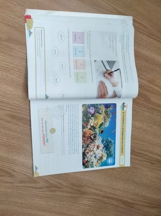 Libro rutas 5° Anaya