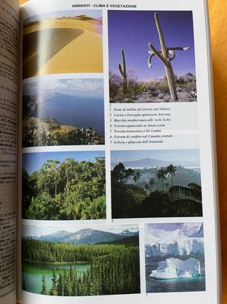 Dizionario enciclopedico illustrato Melzi