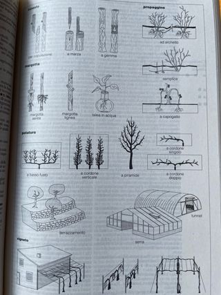 Dizionario enciclopedico illustrato Melzi