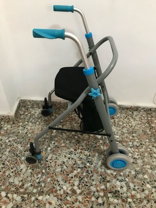 Carrito tercera edad