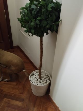 Planta árbol artificial