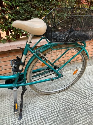 Bicicleta de ciudad Pegasus