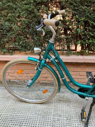 Bicicleta de ciudad Pegasus