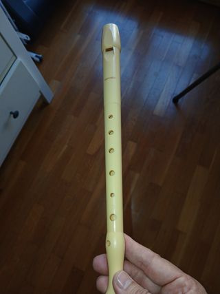 2 flautas modelo Hohner.