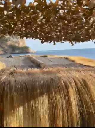 Sombrillas de carri verzo mimbre