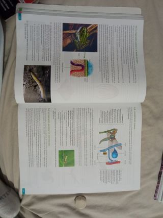 Biología geología y ciencias amb 1 bach