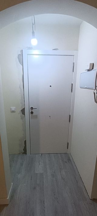 Carpintero de primera profesional