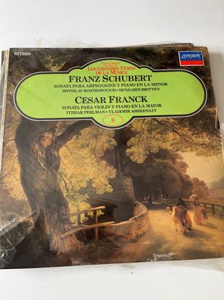 Lote vinilo los grandes temas de la musica