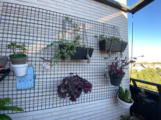 Malla metalica 1,50 x 2,00