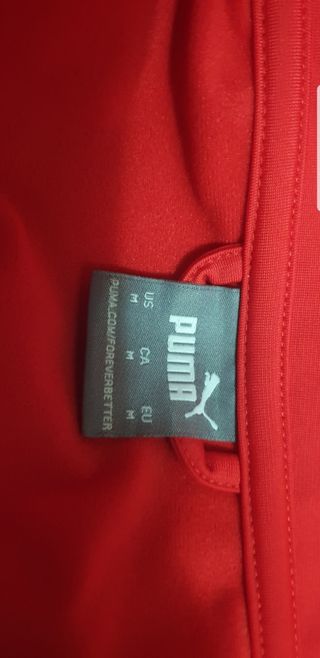 Chandal puma hombre