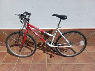 Bicicleta montaña