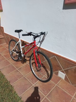Bicicleta montaña