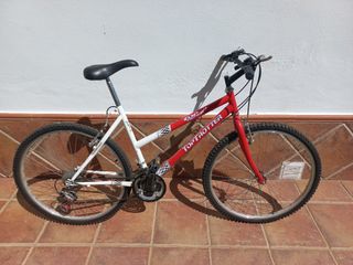 Bicicleta montaña
