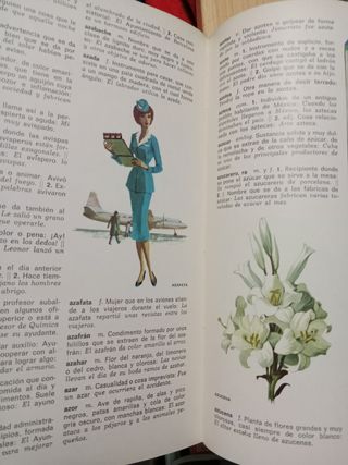 Diccionario infantil ilustrado