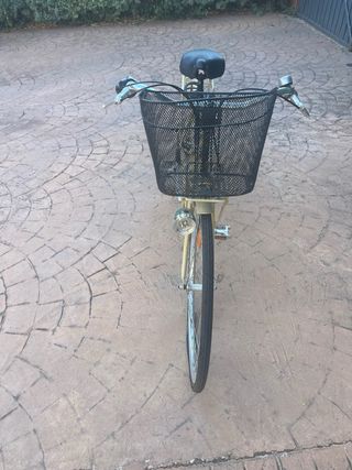 Bicicleta vintage