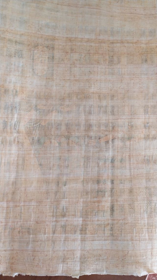 Papiloma varios tamaños