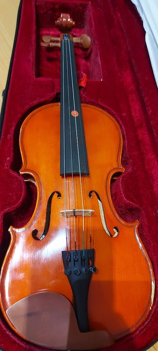 Violin 1/2 para principiantes