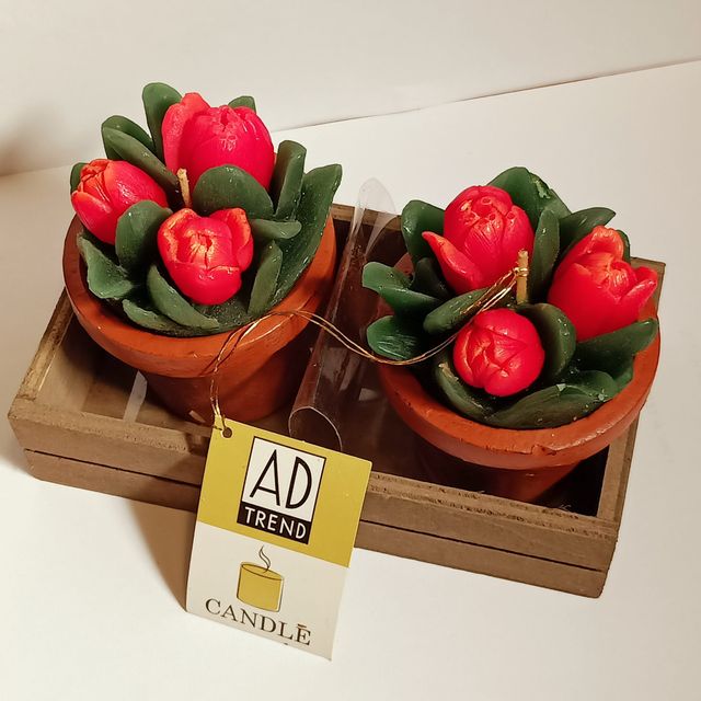 2 x Candele Rose Ad Trend Collection