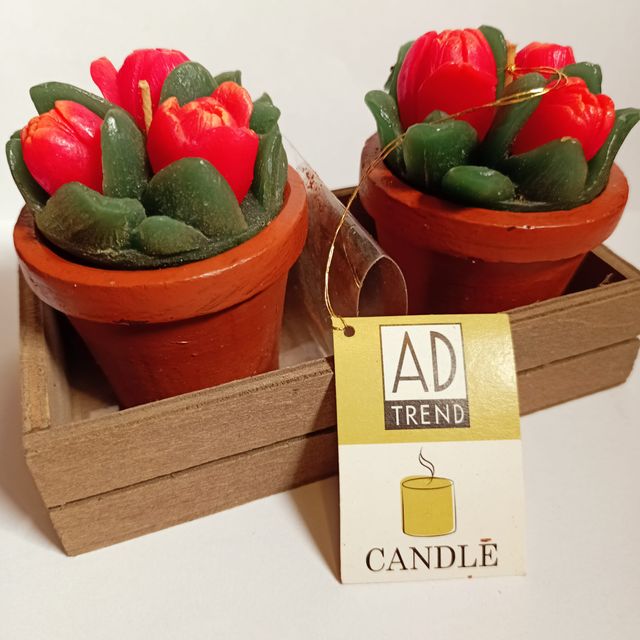 2 x Candele Rose Ad Trend Collection