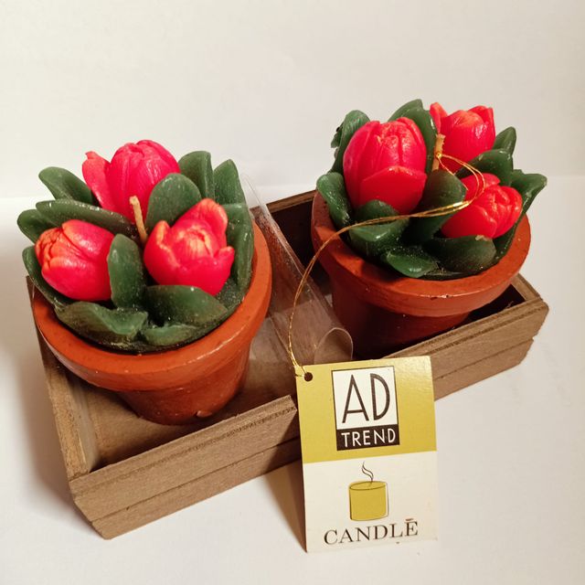 2 x Candele Rose Ad Trend Collection