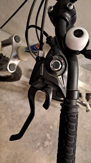 Bicicleta junior (ruedas de 24')