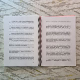 Manual de Derecho Civil.