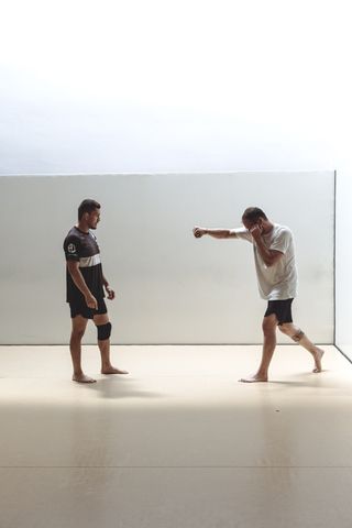PROFESOR DE MMA