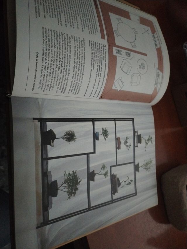 Libro El arte del bonsai de interior
