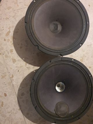Dos altavoces para reconar 12"