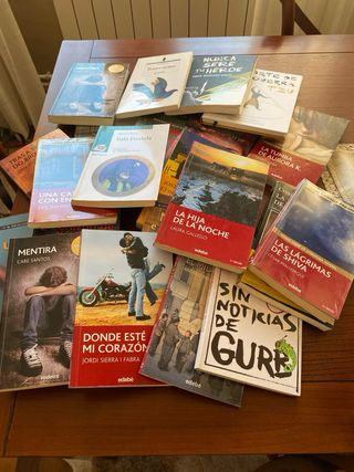 Libros lectura Colegio Salesianos de A Coruña