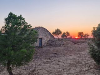 lloguer finca, cabana, barbacoa experiència rural