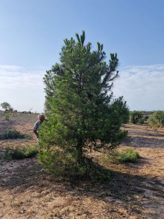 lloguer finca, cabana, barbacoa experiència rural