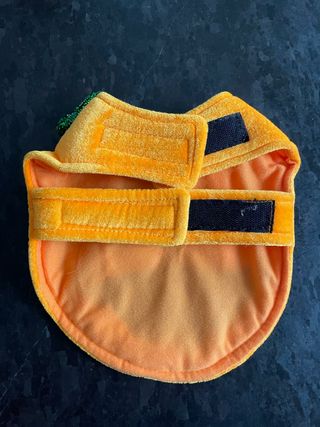 Vestito Halloween per cani o gatti