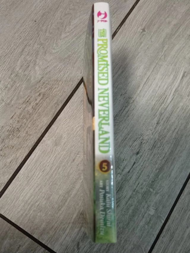 The promised Neverland