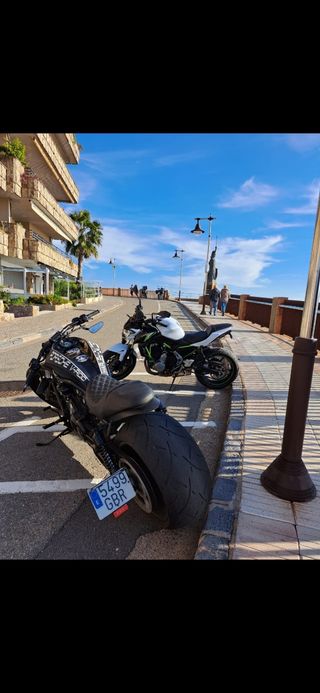Harley davidson v rod