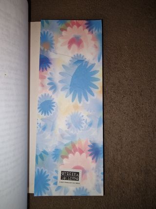 Alma de pássaro Margarida Rebelo Pinto