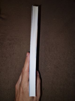 Alma de pássaro Margarida Rebelo Pinto