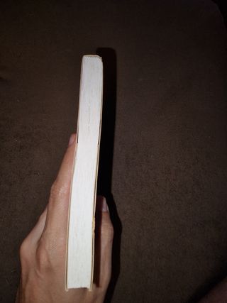 Alma de pássaro Margarida Rebelo Pinto