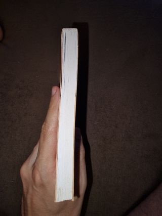 A Artista de Circo de Margarida Rebelo