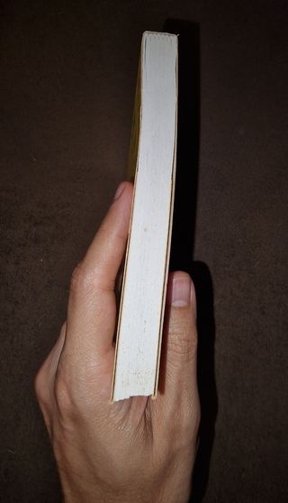 Não Há Coincidências de Margarida R