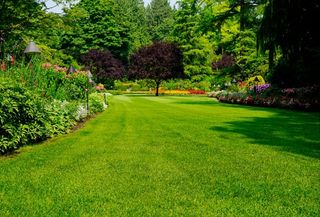 DESBROCES MANTENIMIENTOS Y JARDINES