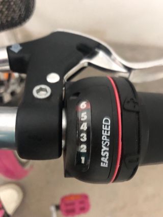 Bicicleta niñ@ 20 pulgadas