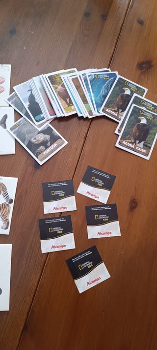 Lote Wildlife Nacional Geographic Kids