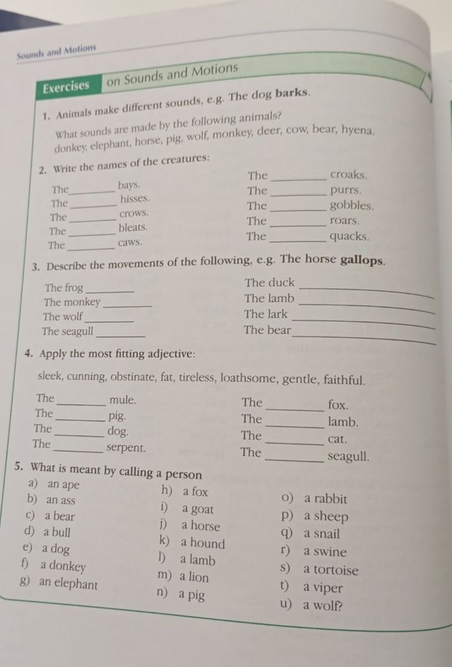 First aid in English