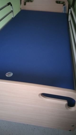 Cama ortopédica + carro elevador