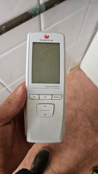 Caldera saunier duval