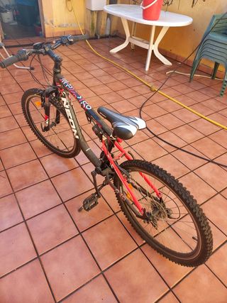 Bicicleta