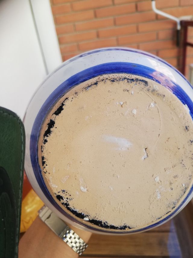 Porron  ejercitoEva 2 Villatobas