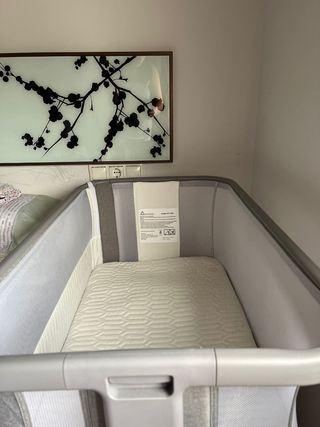 Cuna colecho silla bebe trona