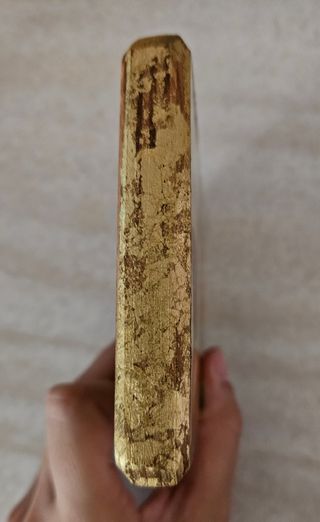 Quadro cherubino "La Madonna Sistina"